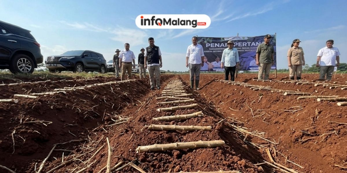 Kuota Bongkar Ratoon 7.500 Hektare Malang Bisa Dikerjakan Seluruh di 2026