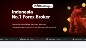 Memahami Perkembangan Platform Trading Forex di Era Digital