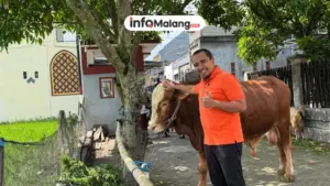 Idul Adha 1447 H, Rendra Masdrajad Safaat Sumbang 5 Sapi dan 5 Kambing Kurban ke Berbagai Titik di Kota Malang Raya