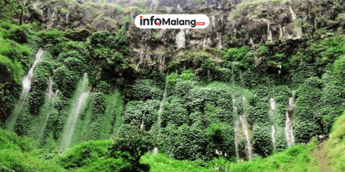 10 Air Terjun di Malang dengan Pemandangan Paling Indah