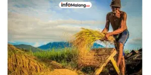 HKTI Kabupaten Malang Dikukuhkan, Gus Machrus Soroti Pentingnya Pengawasan Pupuk Subsidi