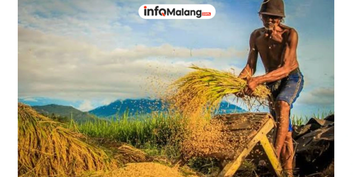 HKTI Kabupaten Malang Dikukuhkan, Gus Machrus Soroti Pentingnya Pengawasan Pupuk Subsidi