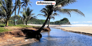 Pantai Wonogoro Malang Selatan Destinasi Wisata Baru dengan Panorama Alam yang Masih Asri
