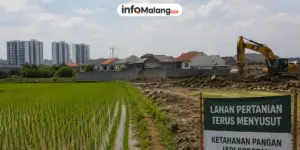 Lahan Pertanian Terus Menyusut, Ketahanan Pangan Jadi Sorotan