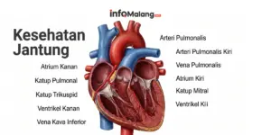 Pemkab Malang Bangun Kemitraan dengan PERKI Cabang Malang