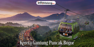 Terobosan Transportasi Hijau, Wacana Kereta Gantung Puncak Jadi Solusi 2 Masalah Utama Bogor