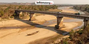 Sungai Barito Surut, Bawah Jembatan Kalahien Berubah Jadi Hamparan Pasir