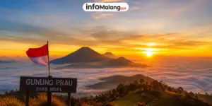 Gunung Prau, Destinasi Favorit Pendaki dengan Sunrise Terbaik di Jawa Tengah