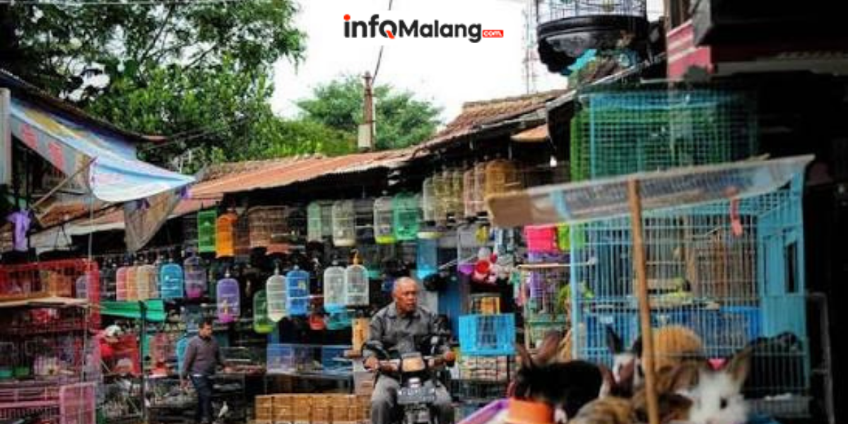 Pemkot Malang Revitalisasi Kawasan Pasar Splendid Agar Lebih Menarik