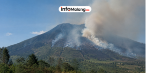 Kebakaran Gunung Buthak Meluas hingga 300 Hektare, Tim Gabungan Terus Lakukan Pemadaman
