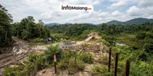 Nasib Kereta Api Kalimantan Belum Jelas, Padahal Anggaran Kemenhub Tembus Rp32,93 Triliun