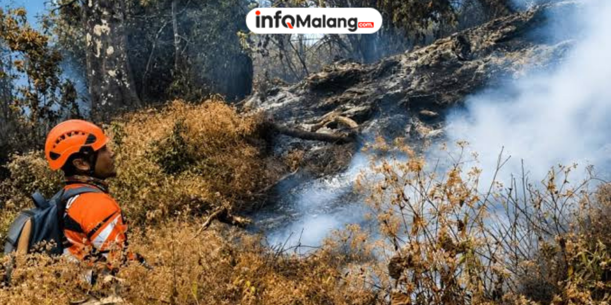 271 Pendaki Dievakuasi Usai Gunung Buthak Malang Dilanda Kebakaran