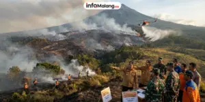 598 Hektare Lahan Semeru Terbakar, BPBD Jatim Ungkap Kondisinya
